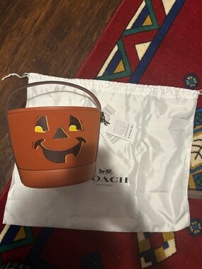 Coach Orange Jack-o'-Lantern Leather Bucket Bag